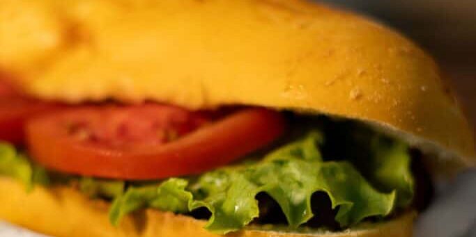 fast-food-sub